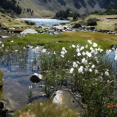 T2 Avec Piscine Couverte Et Parking Apartment
