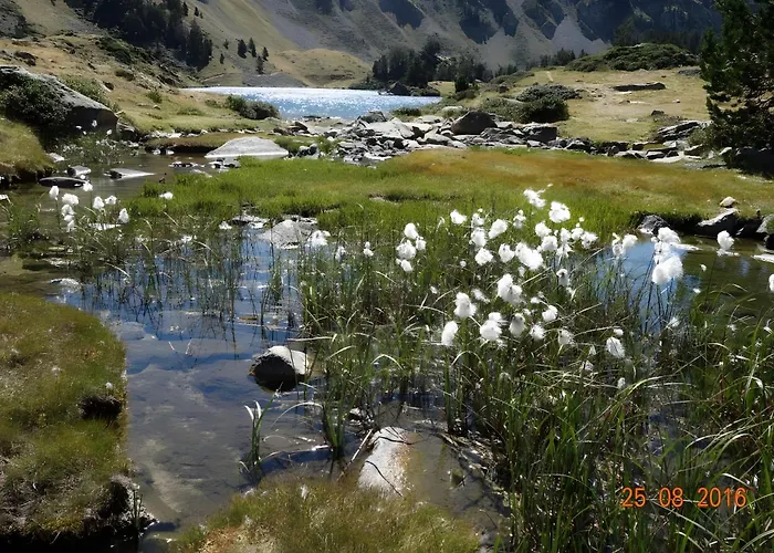 T2 Avec Piscine Couverte Et Parking 公寓